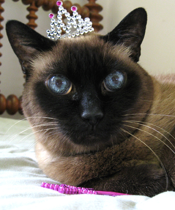 Lorelei Lee is a princess on her birthday (and every other day as well).