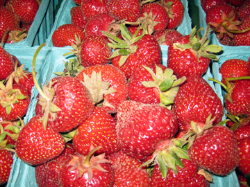 strawberriesweb