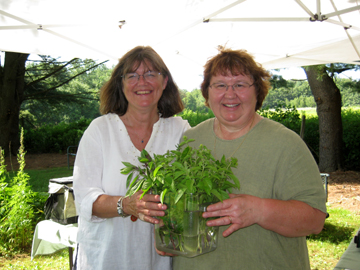 The Queens of Basil: Denise and Mary Ellen